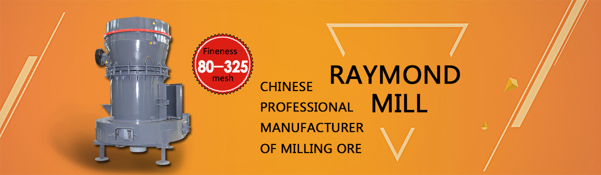 Raymond roller mill